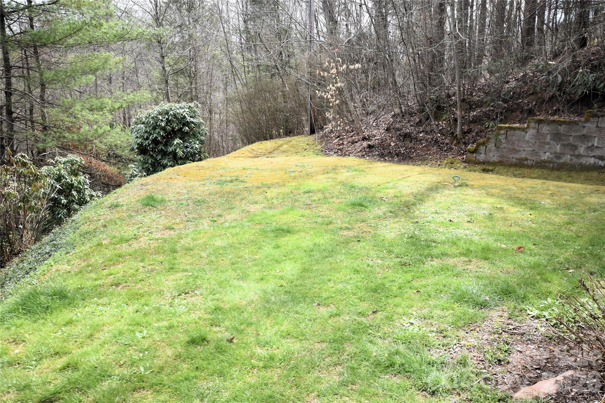 85 Homish Garden Waynesville, NC 28785 - Photo 6 of 32 a view of a yard with a trees