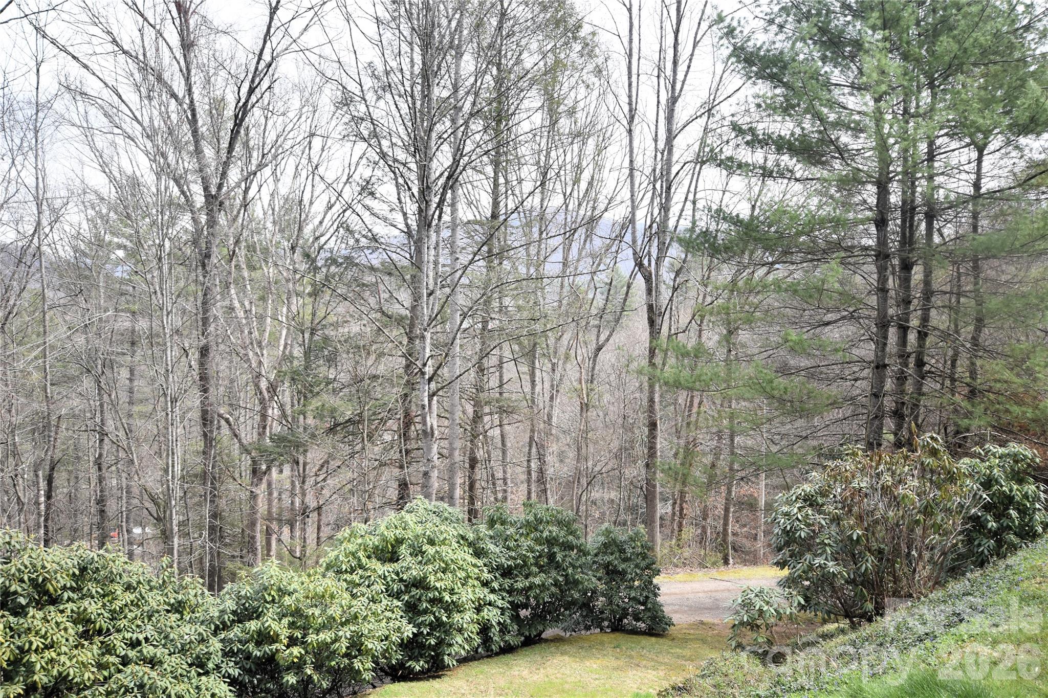 85 Homish Garden Waynesville, NC 28785 - Photo 7 of 32 a view of a outdoor space