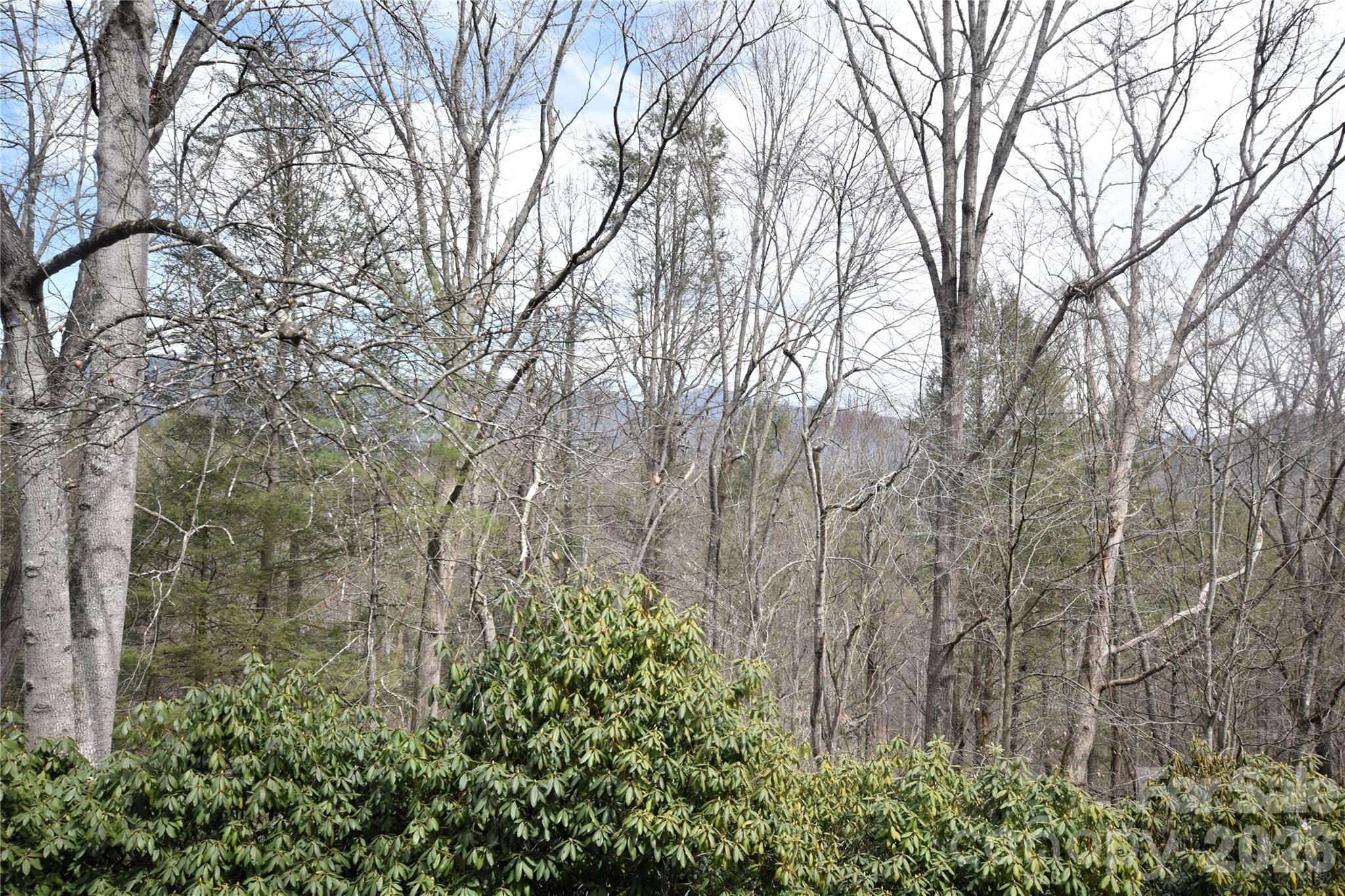 85 Homish Garden Waynesville, NC 28785 - Photo 8 of 32 a backyard of a house with lots of green space