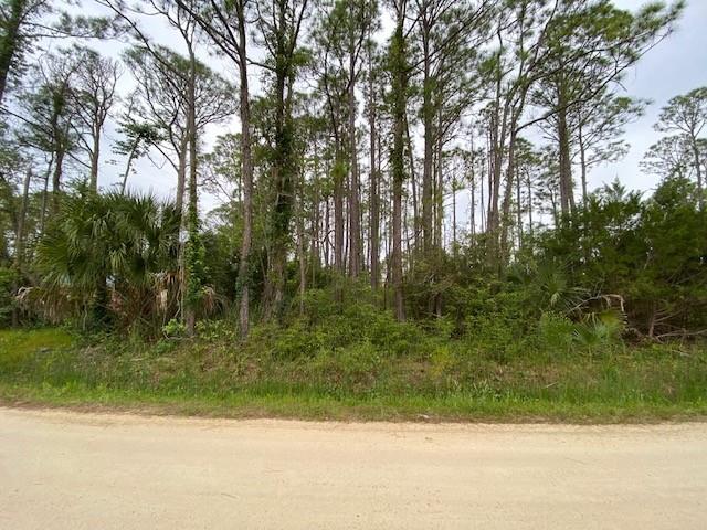 320 Howell Street Eastpoint, FL 32328 - Photo 1 of 9