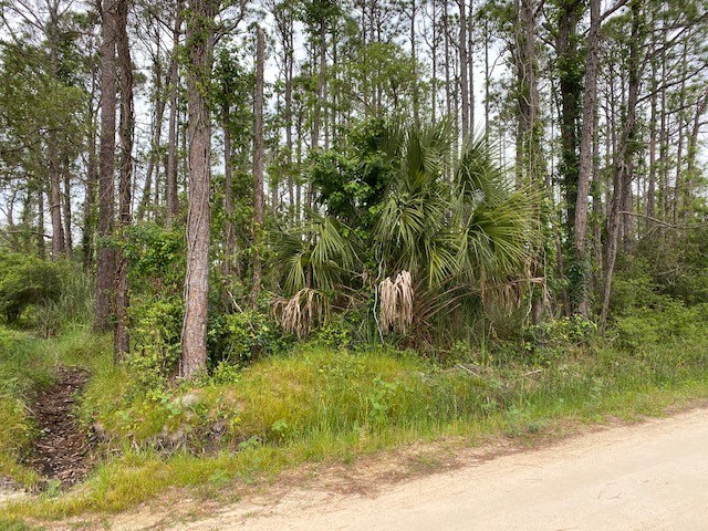 320 Howell Street Eastpoint, FL 32328 - Photo 2 of 9
