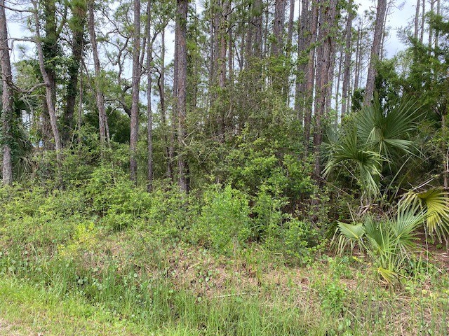 320 Howell Street Eastpoint, FL 32328 - Photo 3 of 9