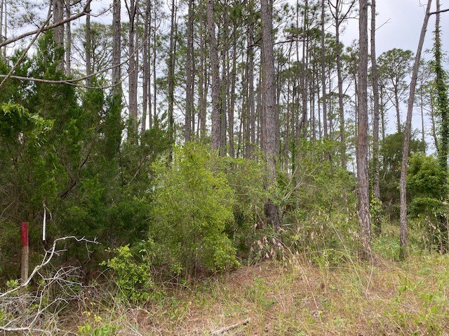320 Howell Street Eastpoint, FL 32328 - Photo 4 of 9
