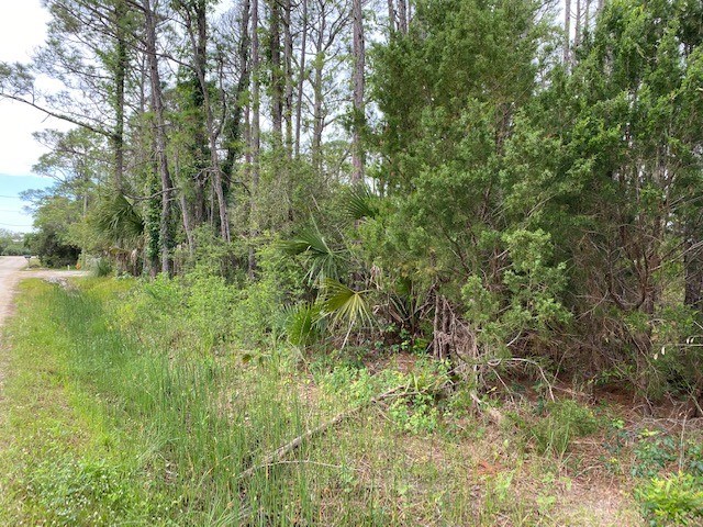 320 Howell Street Eastpoint, FL 32328 - Photo 7 of 9