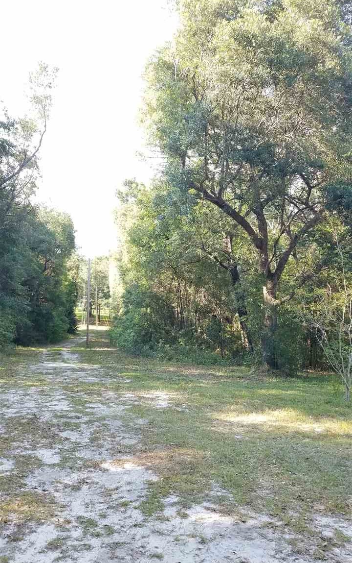 8600 Troy Drive Elberta, AL 36530 - Photo 18 of 18 Drive to property