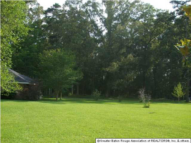 16324 Stoney Point Burch Road Pride, LA 70770 - Photo 4 of 5 Gallery Image 4