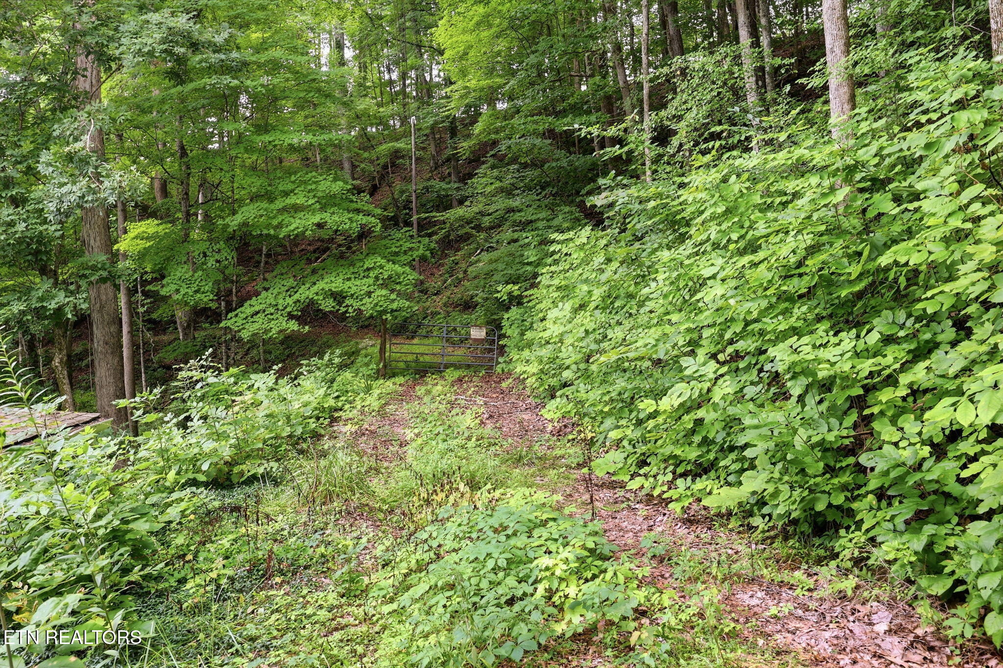 Edwards Road Maynardville, TN 37807 - Photo 22 of 22 22-web-or-mls-022_Edwards_Road
