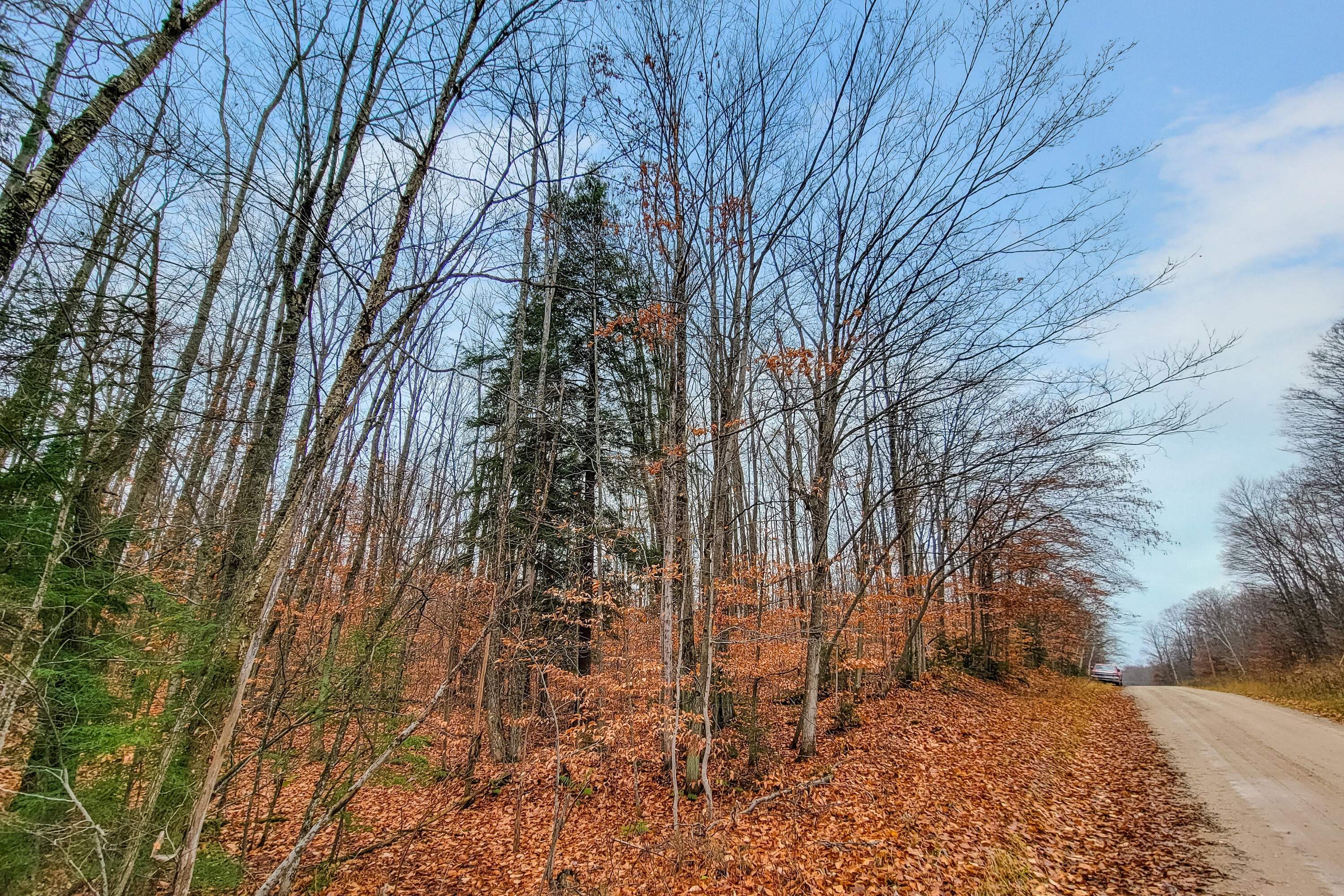 Lot 70 Andergood Road Lewiston, MI 49756 - Photo 1 of 11 Gallery Image 1