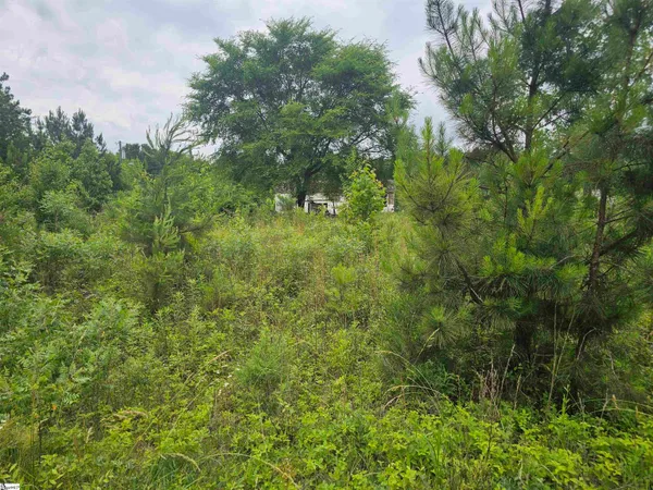 $25,000 | 348 Dillon Drive, Clinton, SC 29325