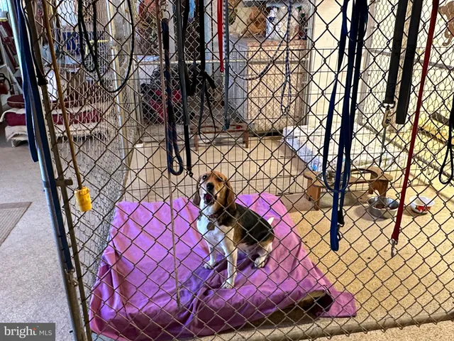 a view of back yard of the house