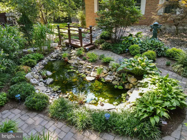 a plant that is in a garden