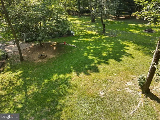 a view of a yard with yellow plants