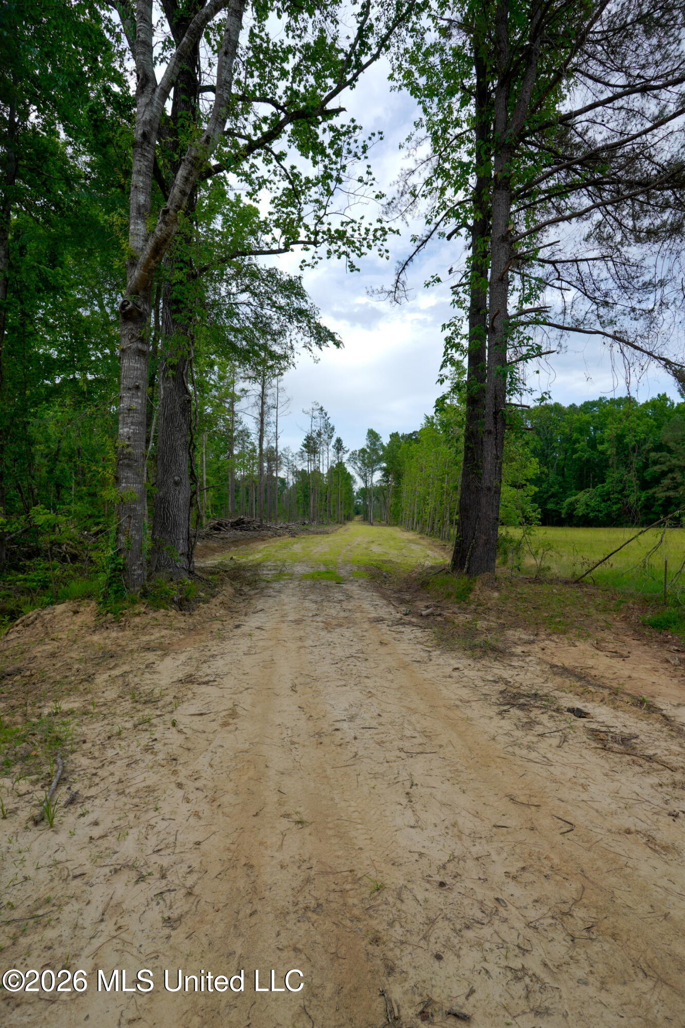 Lorance Road Clinton, MS 39056 - Photo 10 of 25 _DSC5570