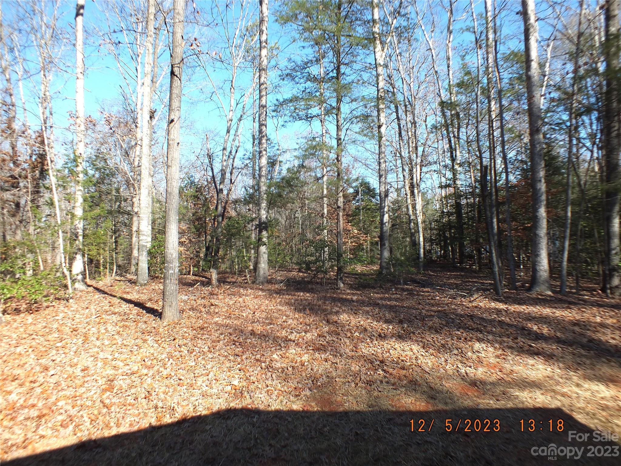 123 Little River Road Indian Land, SC 29707 - Photo 31 of 40 Gallery Image 31
