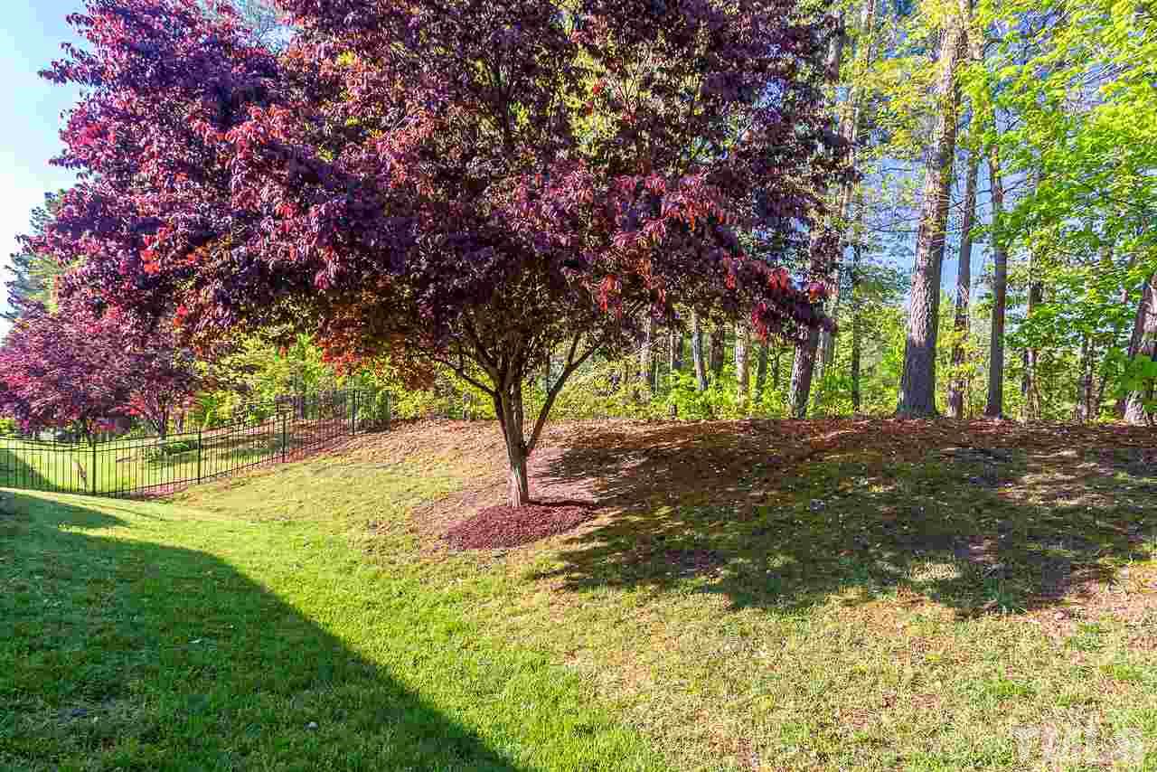 3601 Cathedral Bell Road Raleigh, NC 27614 - Photo 24 of 25 a view of yard with tree