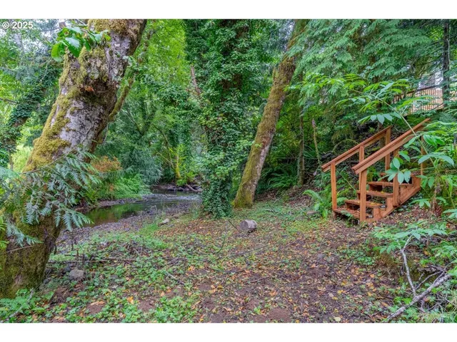 a backyard of a house with trees and plants