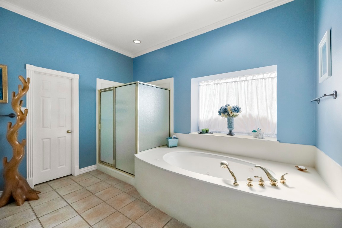 19315 Puget Lane Spring, TX 77388 - Photo 12 of 49 huge garden tub