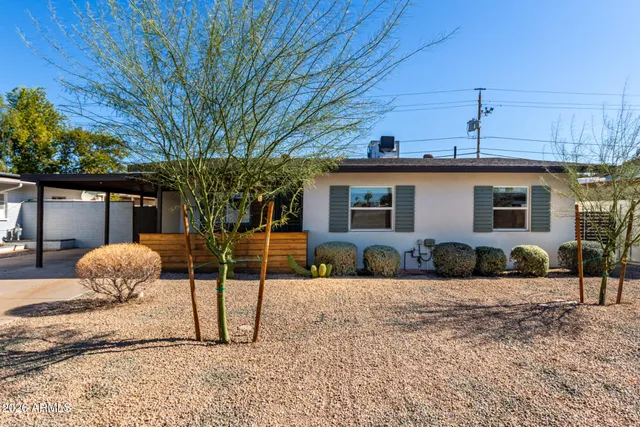 a backyard of a house with potted plants and large tree