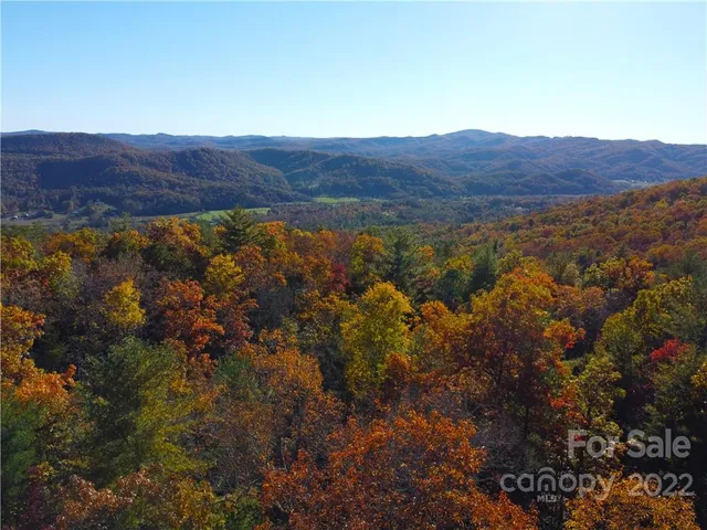 a view of a lush green field