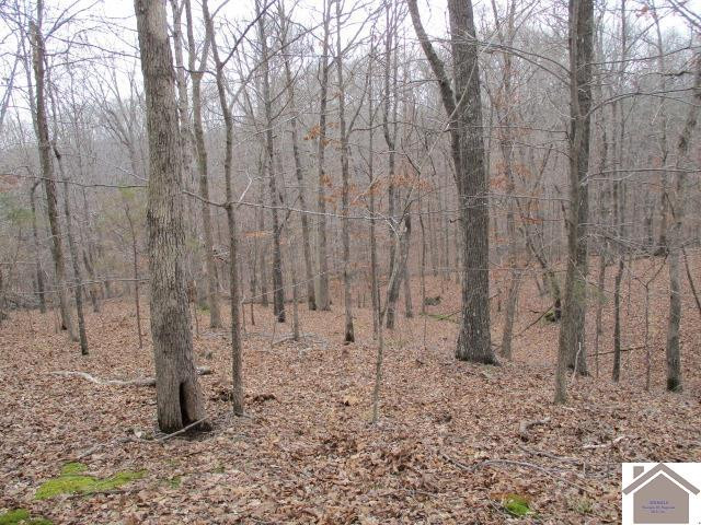 0 C W Cherry Road Cadiz, KY 42211 - Photo 1 of 1 Photo 1