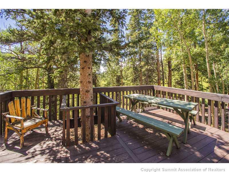 118 Mine Road Alma, CO 80420 - Photo 14 of 18 Gallery Image 14