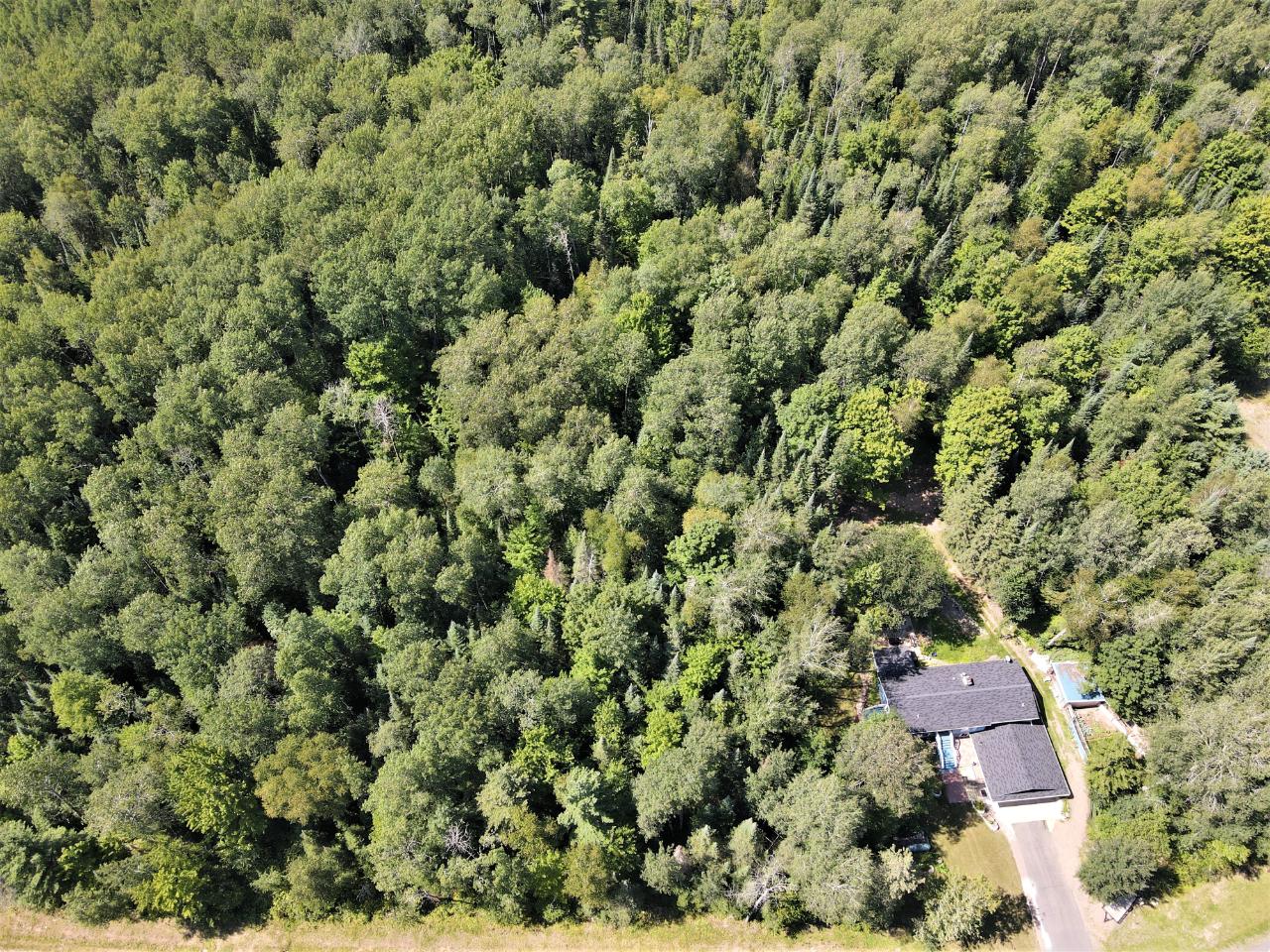 N13315 Berry Patch Road Fifield, WI 54524 - Photo 44 of 51 Gallery Image 44