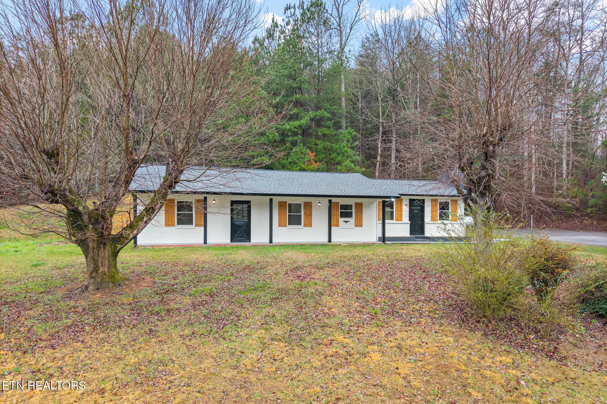 144 Cagle Road Tellico Plains, TN 37385 - Photo 2 of 34