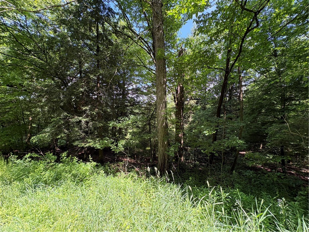 Stage Road South Otselic, NY 13155 - Photo 25 of 29
