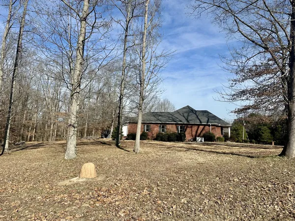 a backyard of a house with lots of trees