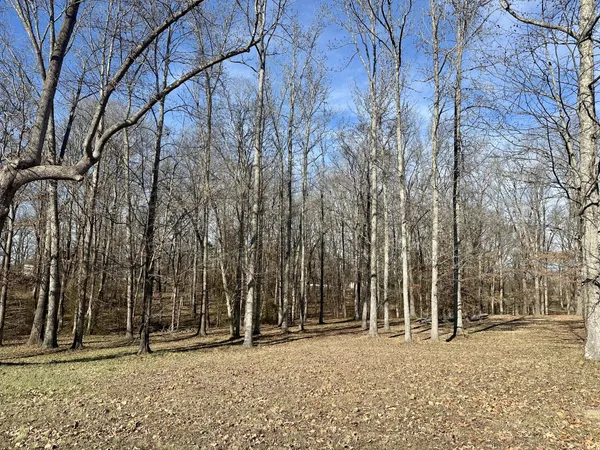 a backyard of a house with large trees