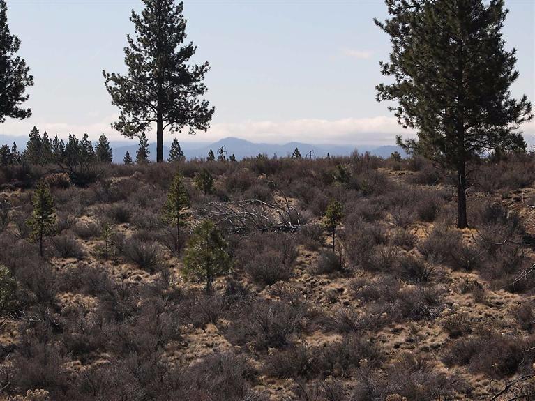 19140 Macalpine Loop Bend, OR 97702 - Photo 8 of 10 Looking south.