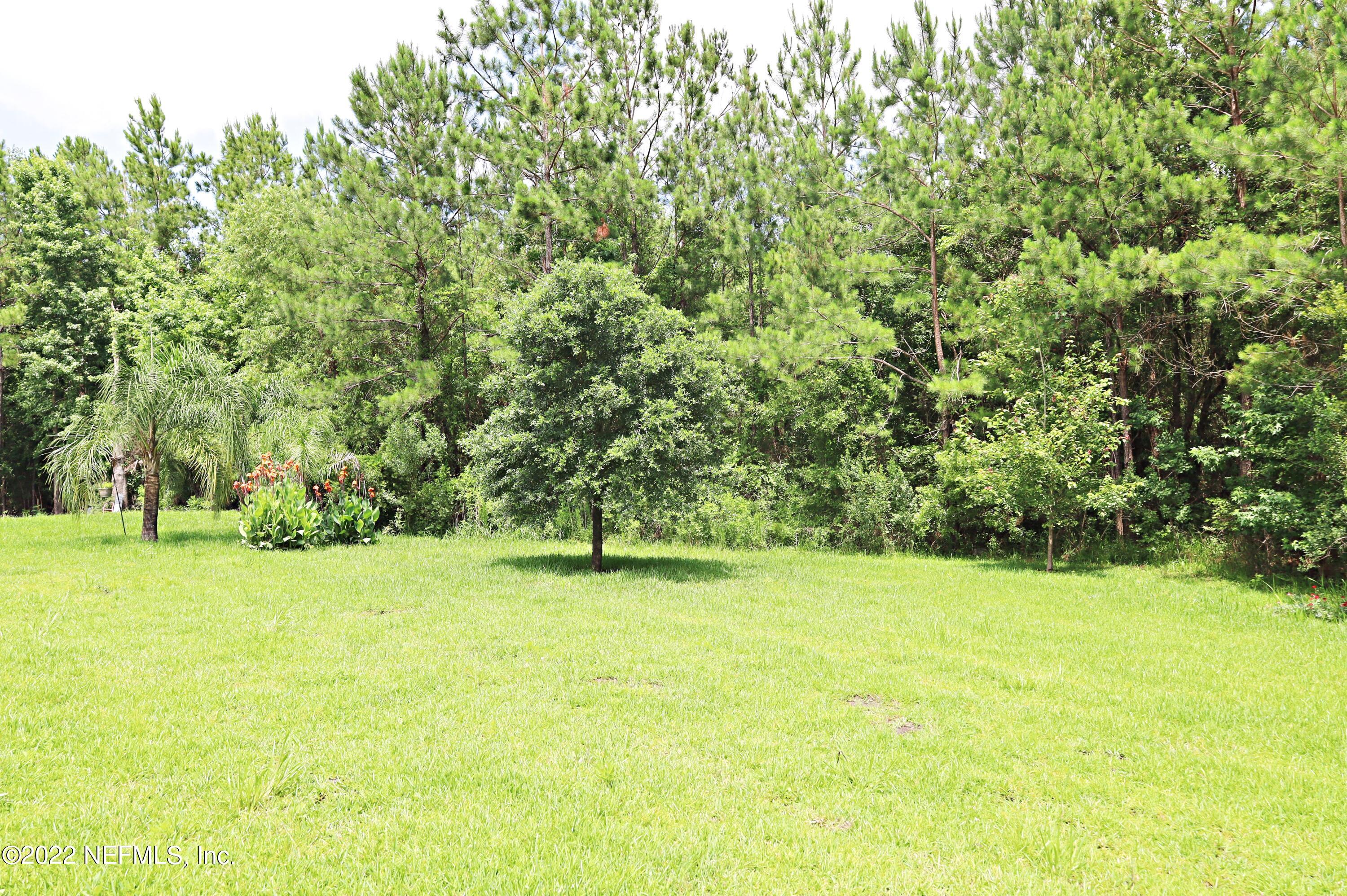 10991 Lothmore Road Jacksonville, FL 32221 - Photo 23 of 23 24 Backyard