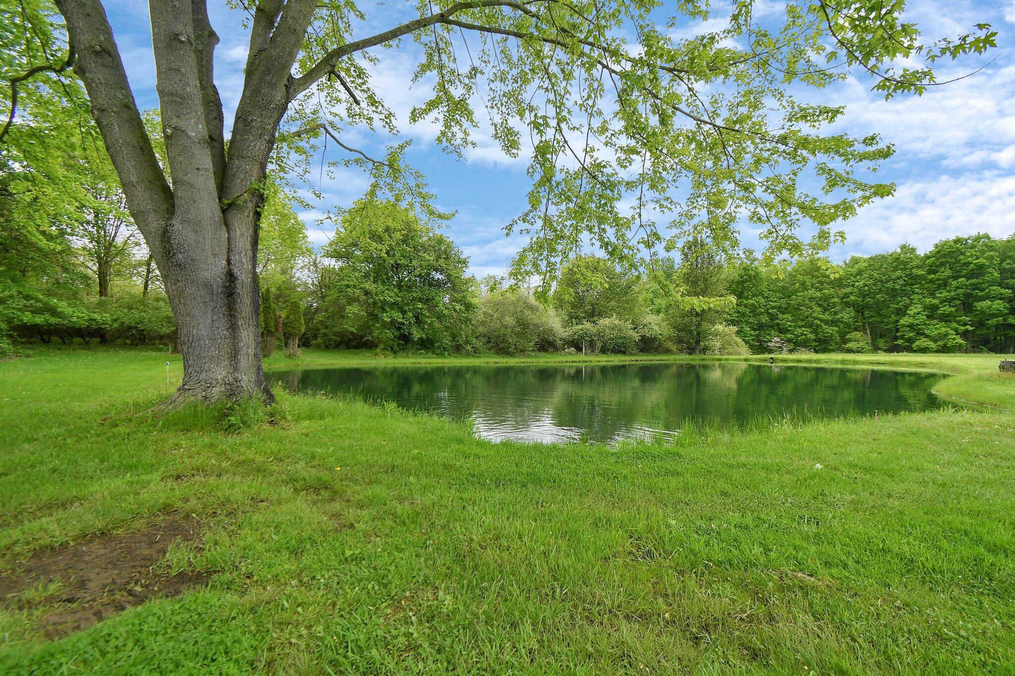 6301 Columbus Road Centerburg, OH 43011 - Photo 5 of 56 24-web-or-mls-6301-columbus-rd