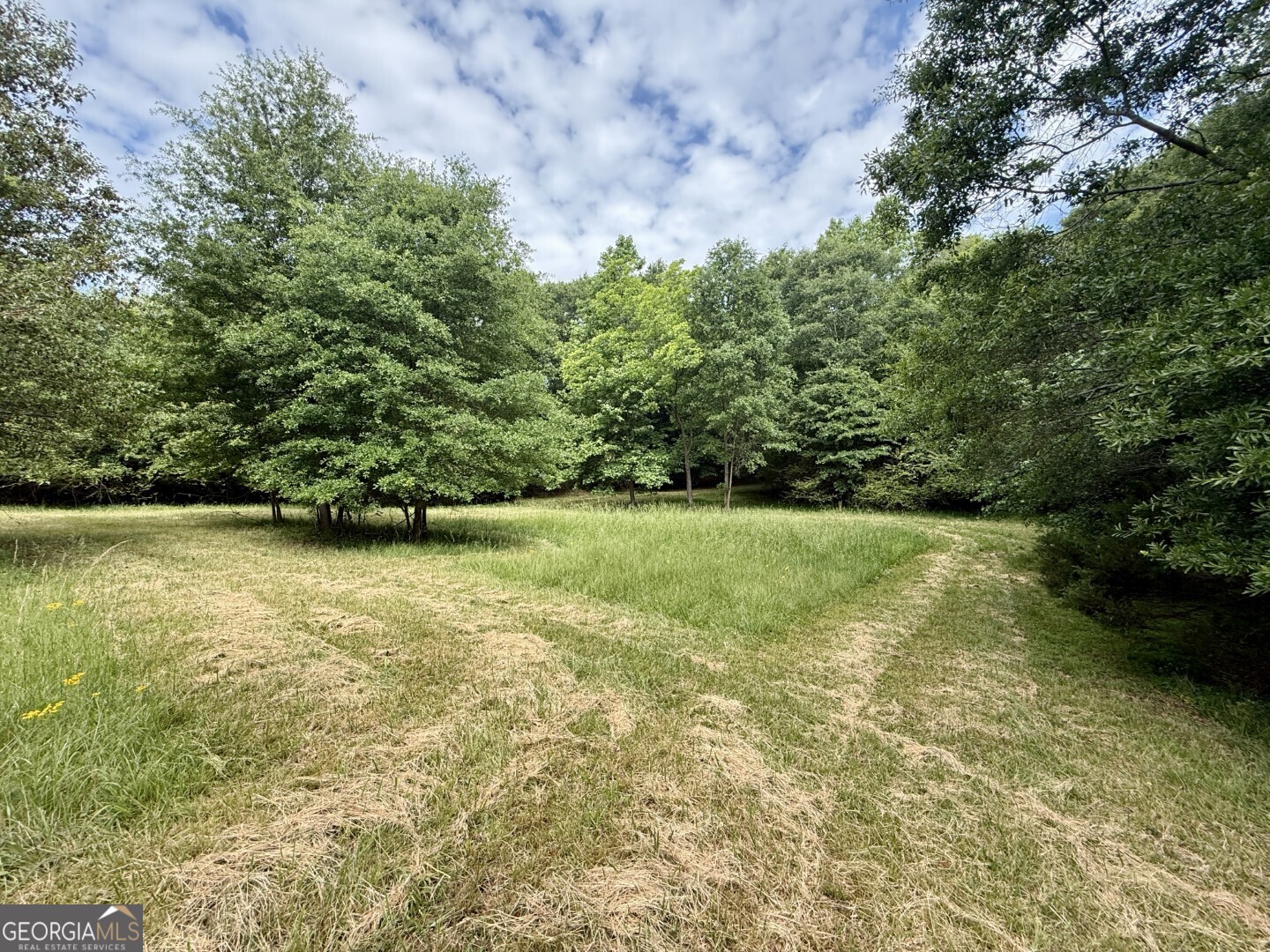 1298 Ray Weaver Road Canon, GA 30520 - Photo 35 of 40