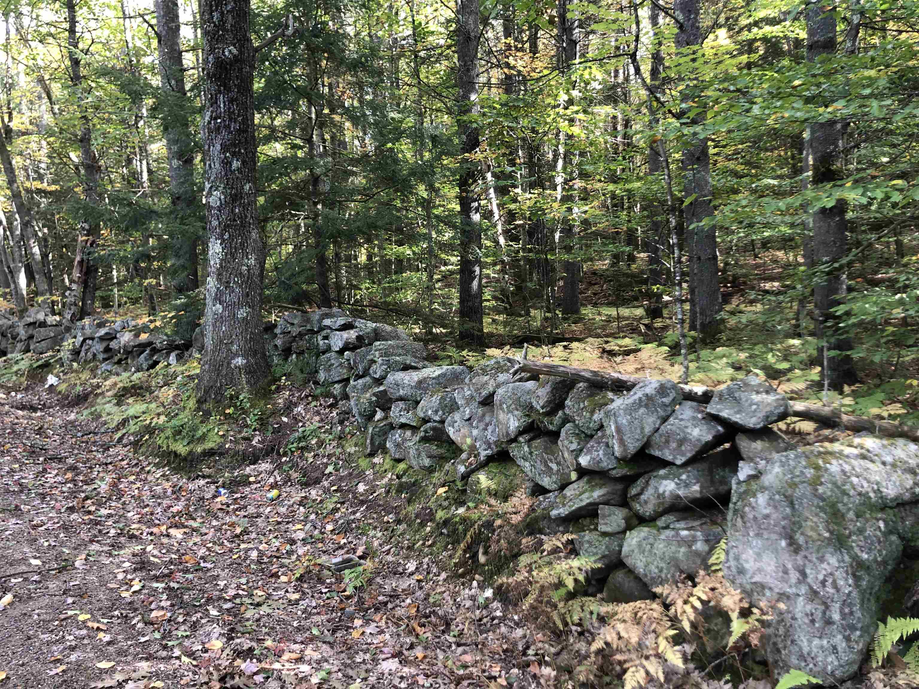 46 Horne Road Belmont, NH 03220 - Photo 3 of 11
