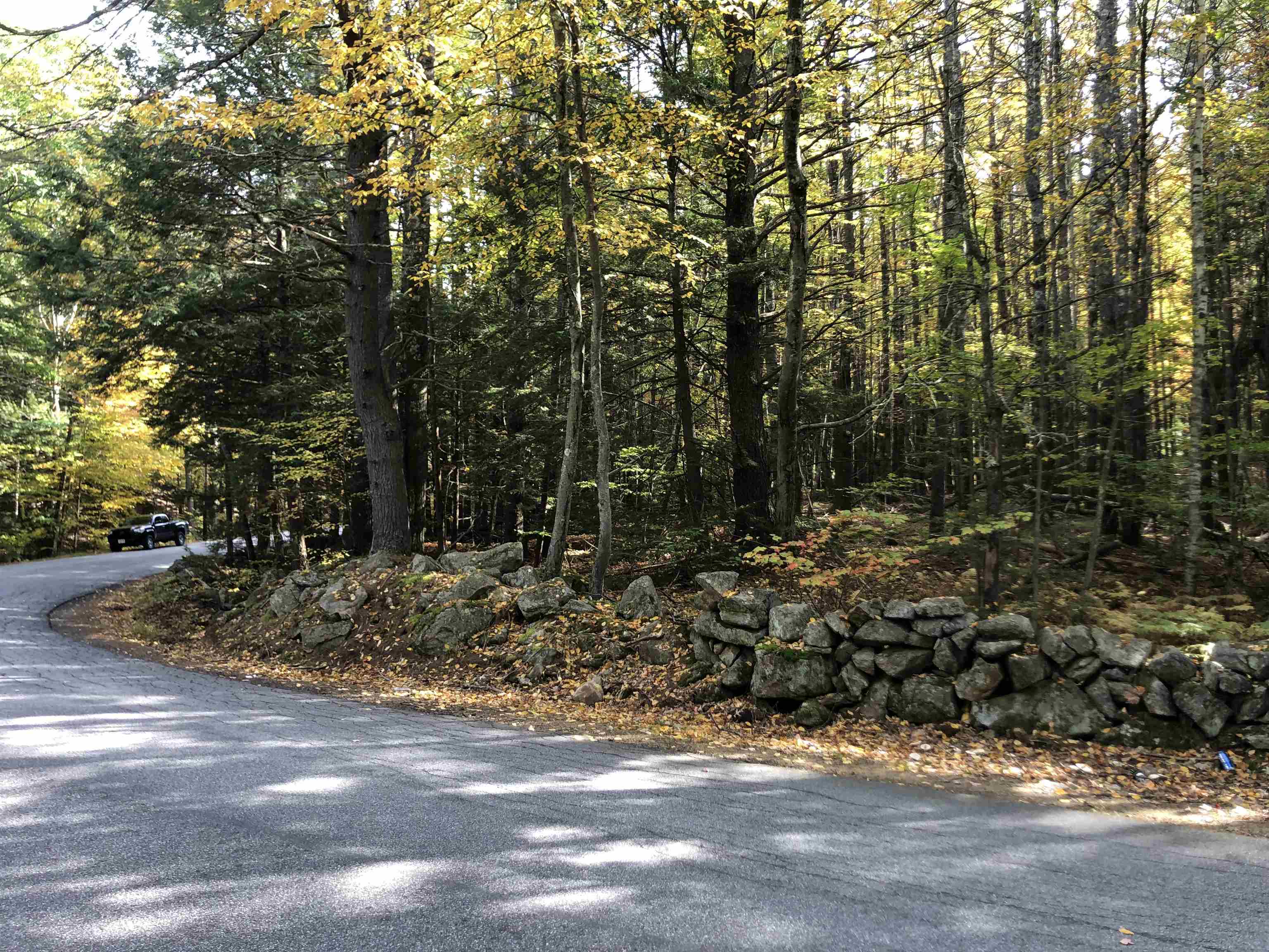 46 Horne Road Belmont, NH 03220 - Photo 4 of 11