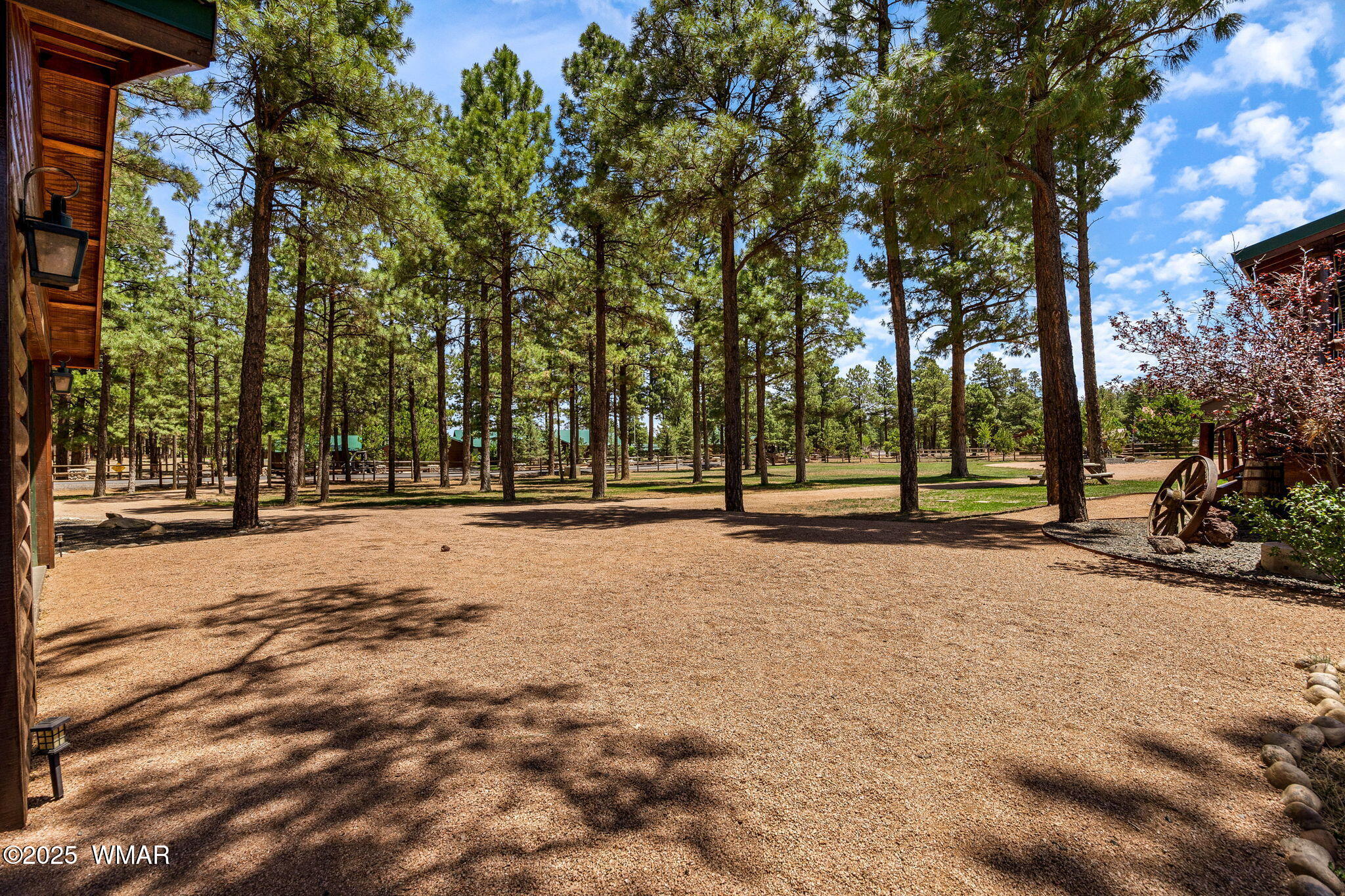 2295 Bison Rnch Trail Overgaard, AZ 85933 - Photo 39 of 68 SO MANY BEAUTIFUL PINE TREES