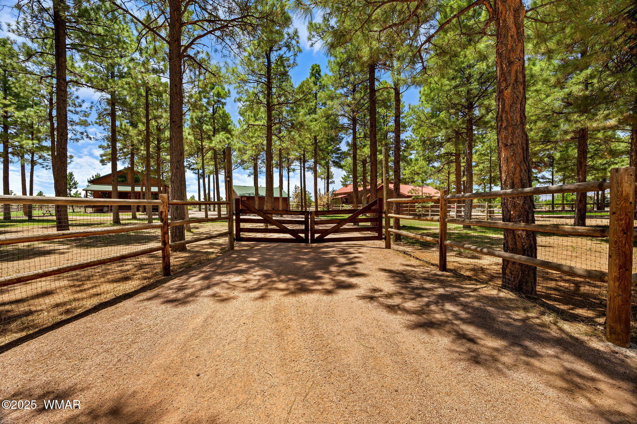 2295 Bison Rnch Trail Overgaard, AZ 85933 - Photo 54 of 68 FULLY FENCED YARD