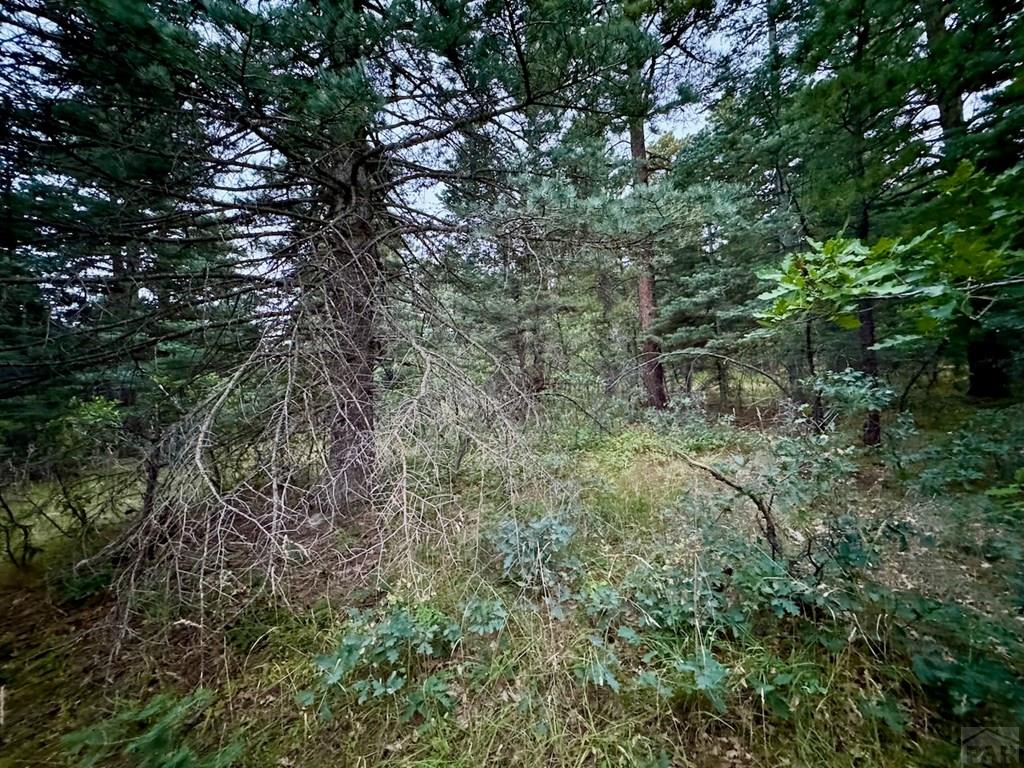 6-7 Robin Hood Trail Rye, CO 81069 - Photo 4 of 15