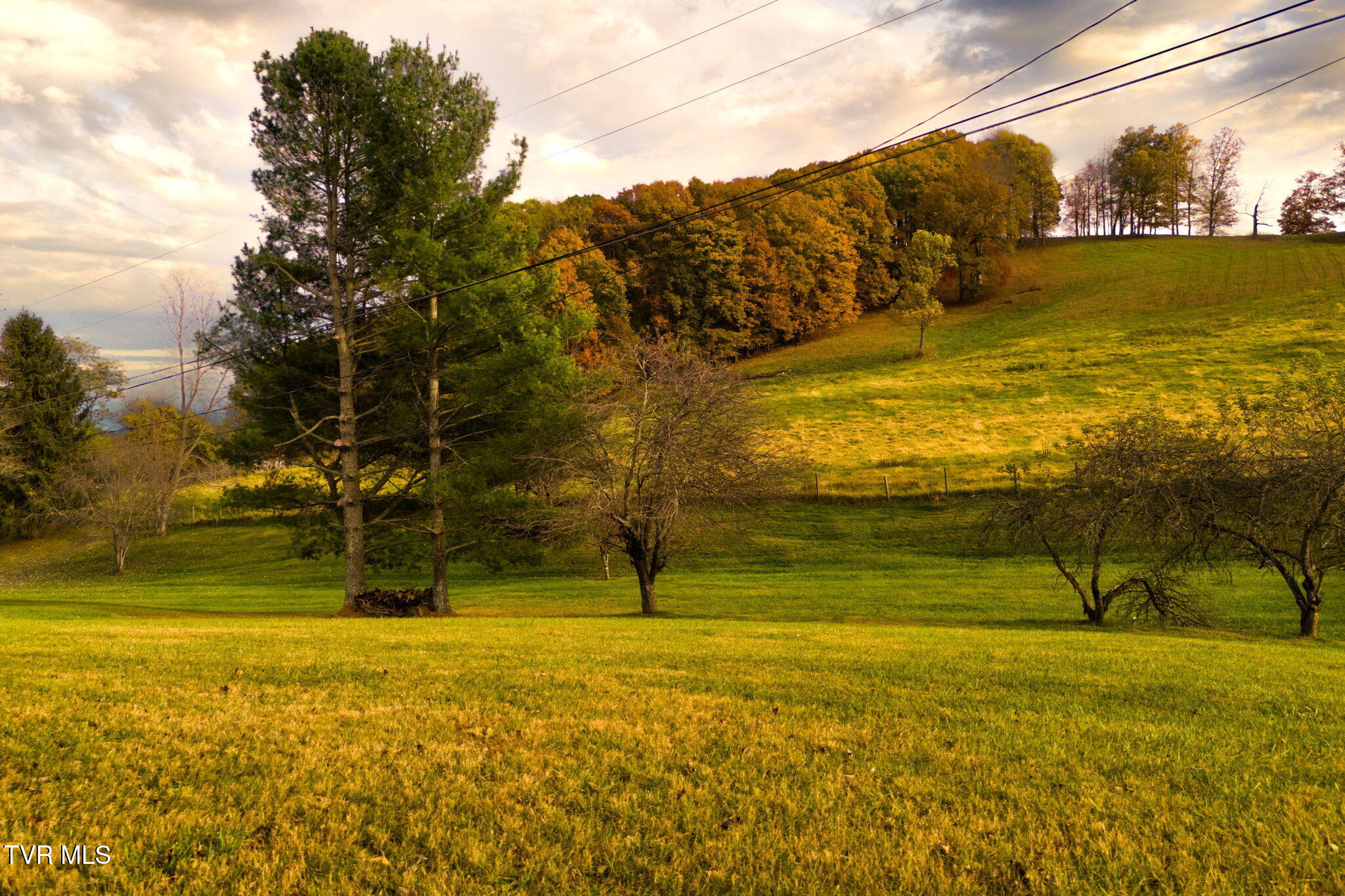 24850 Walden Road Abingdon, VA 24210 - Photo 12 of 38 12-web-or-mls-24850-walden-rd