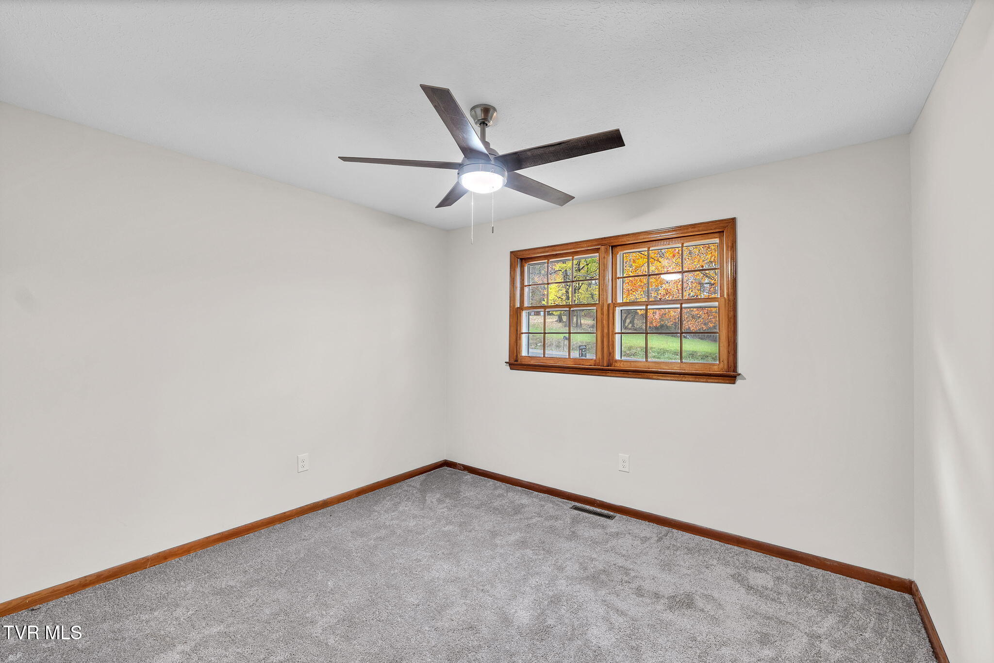 24850 Walden Road Abingdon, VA 24210 - Photo 26 of 38 26-web-or-mls-24850-walden-rd