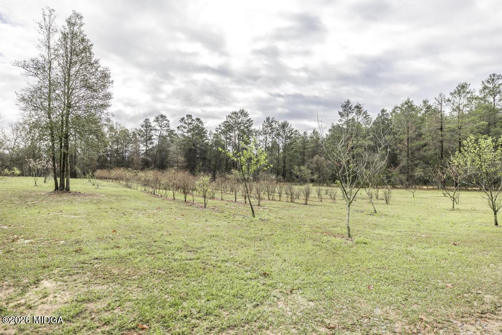 319 Pope Road Roberta, GA 31078 - Photo 42 of 42 a view of outdoor space with garden
