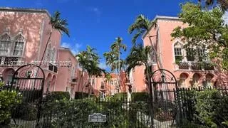 a view of a palm trees in front of a house