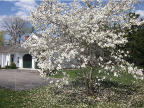 235 Exeter Road Hampton Falls, NH 03844 - Photo 20 of 36