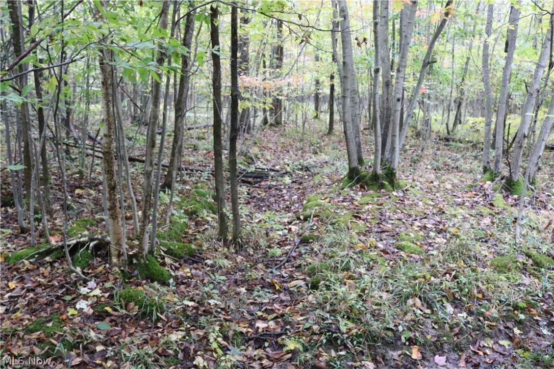 North Richmond Road Pierpont, OH 44082 - Photo 26 of 34 Gallery Image 26