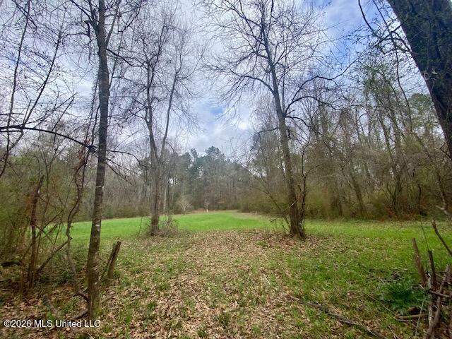 2738 County Farm Rd A D Liberty, MS 39645 - Photo 13 of 29 IMG_9197