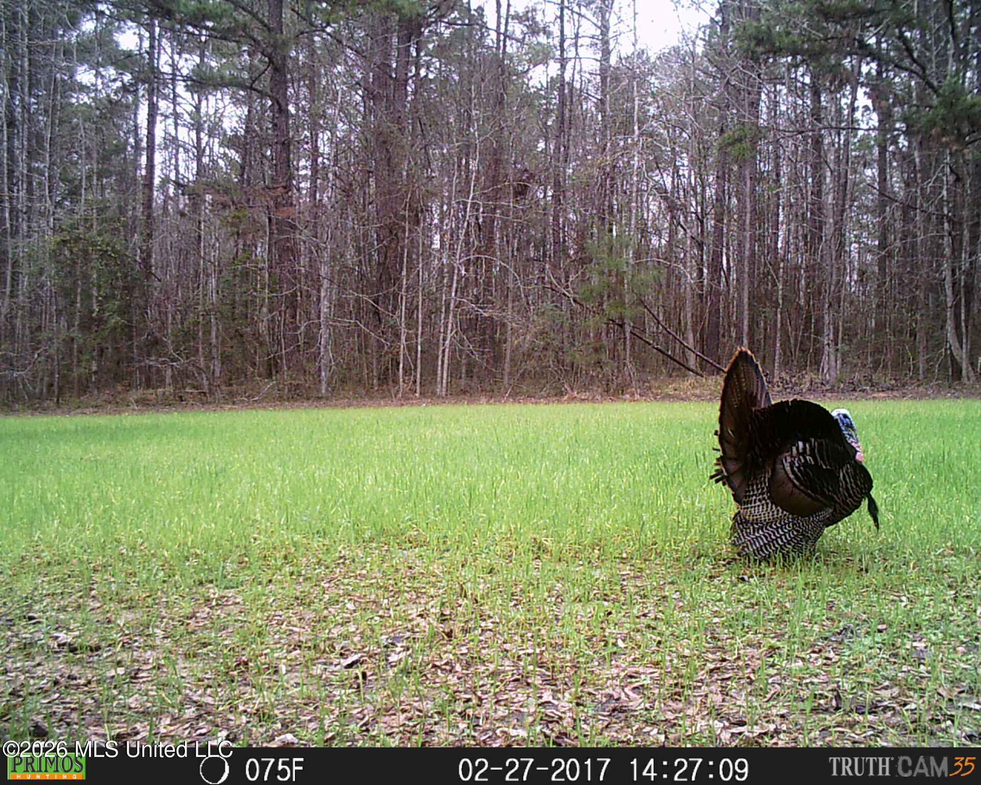 2738 County Farm Rd A D Liberty, MS 39645 - Photo 2 of 29 IMG_0274