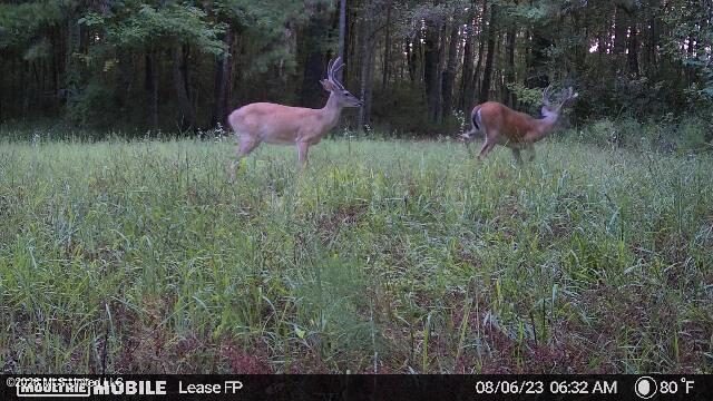 2738 County Farm Rd A D Liberty, MS 39645 - Photo 23 of 29 IMG_0103