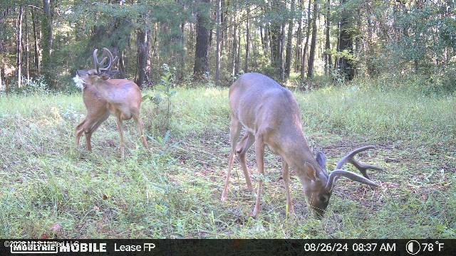 2738 County Farm Rd A D Liberty, MS 39645 - Photo 26 of 29 IMG_0409