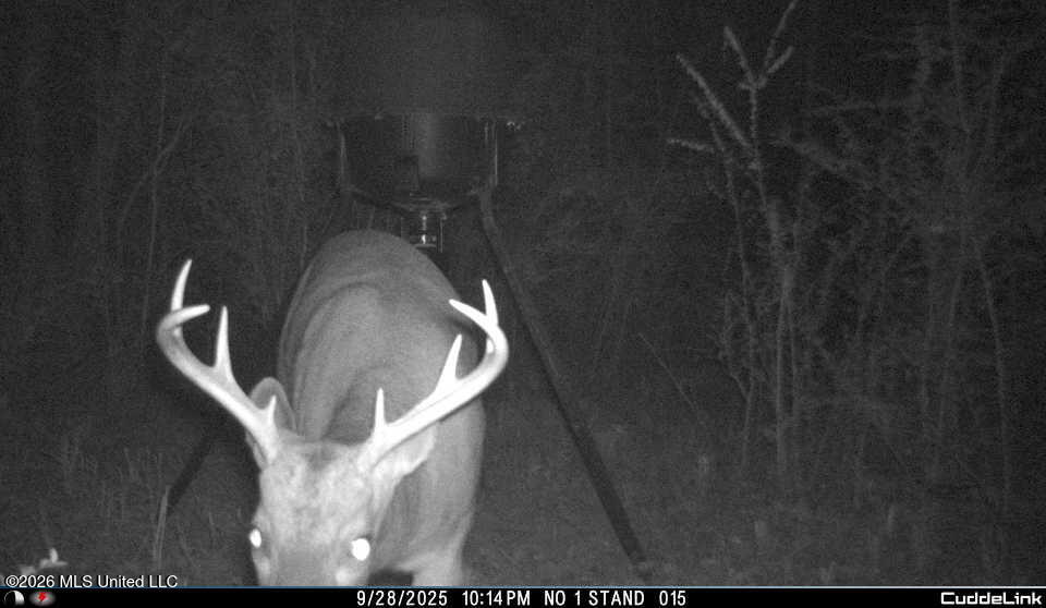 2738 County Farm Rd A D Liberty, MS 39645 - Photo 27 of 29 26